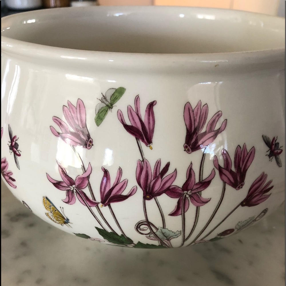 Portmeirion 1972 Botanic Garden 6 1/2 “ Serving Bowl